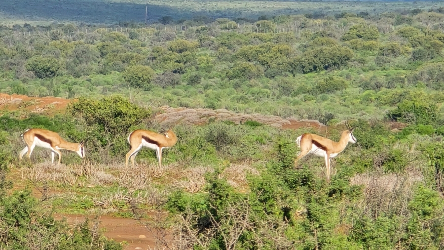 Commercial Property for Sale in Oudtshoorn Rural Western Cape